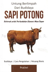 Untung berlimpah dari budidaya sapi potong