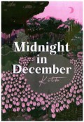 Midnight in December