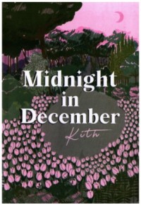 Image of Midnight in December